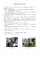 物理療法勉強会