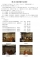 第 20 回通常総代会報告