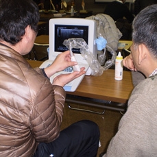 エコー(超音波観察装置)勉強会