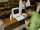エコー(超音波観察装置)勉強会の報告