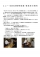 エコー勉強会